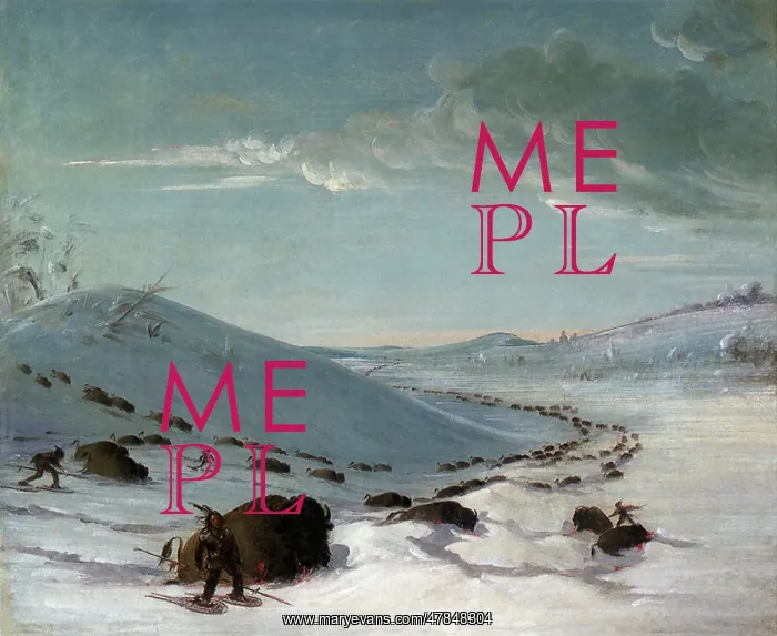 : Native American Buffalo Chase in Winter, by George Catlin : Native American Buffalo Chase in Winter, by George Catlin