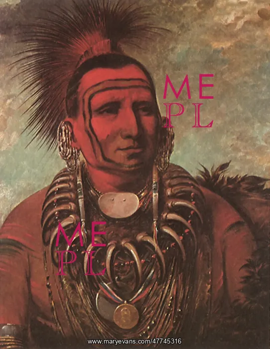 : Native American Cheyenne Chief, Little Wolf, by Catlin : Native American Cheyenne Chief, Little Wolf, by Catlin