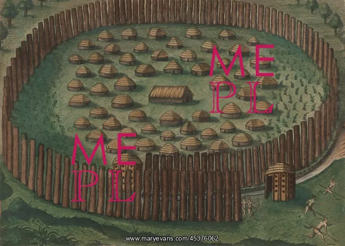 : A native American fortified town in Florida : A native American fortified town in Florida