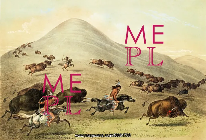  : Native American Indian Buffalo Hunt
