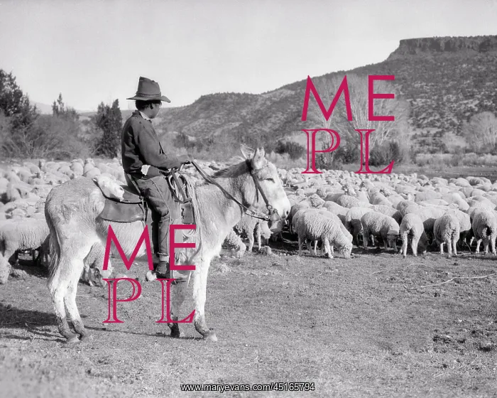 : Native American Indian Man Shepherd Riding on : Native American Indian Man Shepherd Riding on