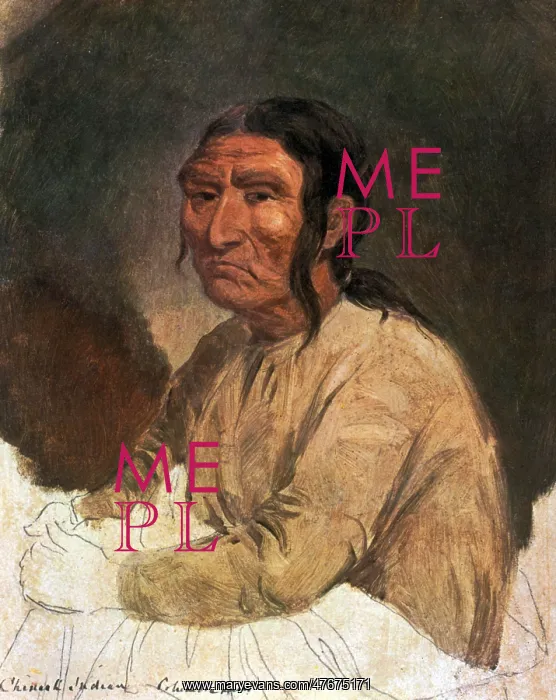 : Native American Indian Warrior, Fort Vancouver : Native American Indian Warrior, Fort Vancouver