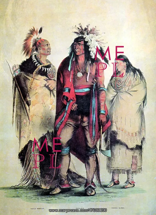: Native American Indians, 19th Century : Native American Indians, 19th Century