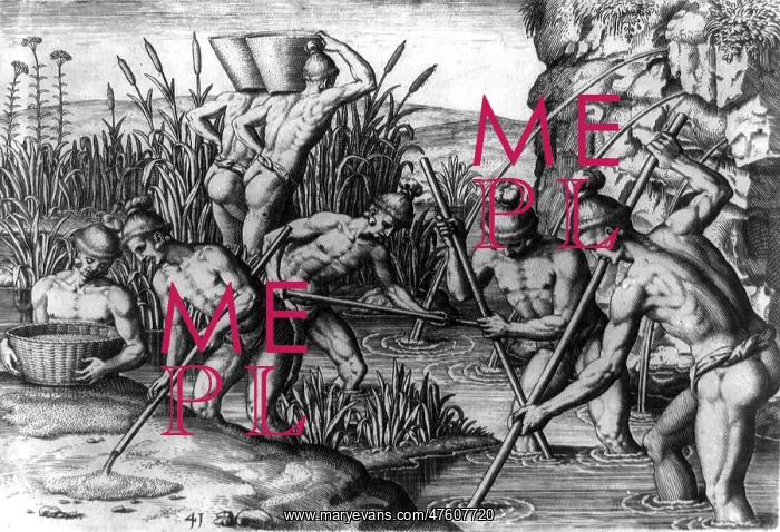 : Native American Indians Collecting Gold, 16th Century : Native American Indians Collecting Gold, 16th Century