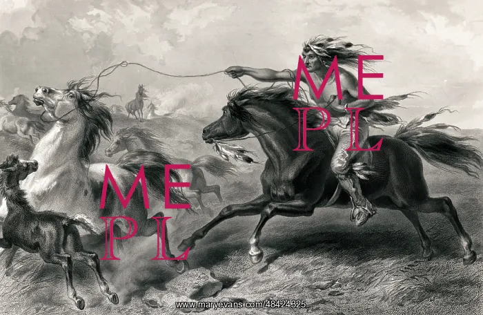 : Native American lassoing wild horses : Native American lassoing wild horses