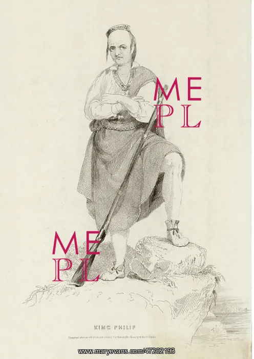 : NATIVE AMERICAN / METACOME : NATIVE AMERICAN / METACOME