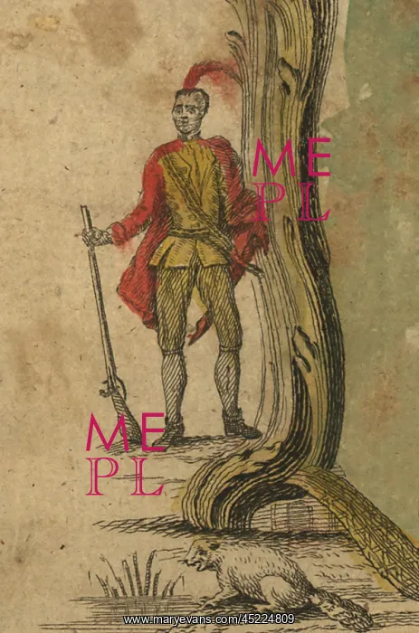 : A Native American of New Hampshire, probably ? : A Native American of New Hampshire, probably ?