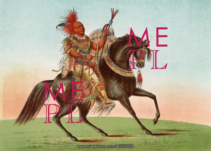 : Native American Rider : Native American Rider