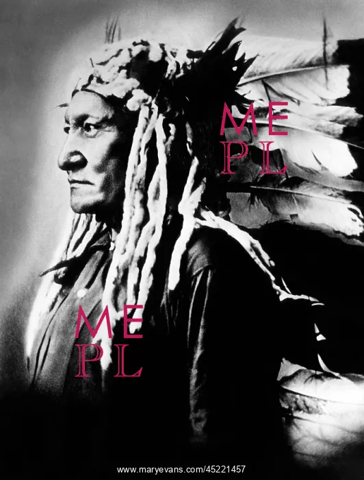 : Native American Sioux chief Sitting Bull, ? : Native American Sioux chief Sitting Bull, ?