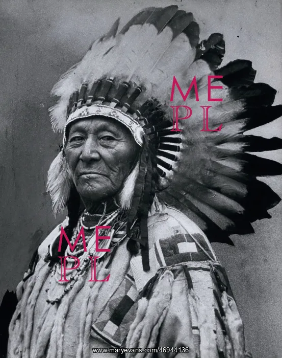 : Native Americans : Native Americans