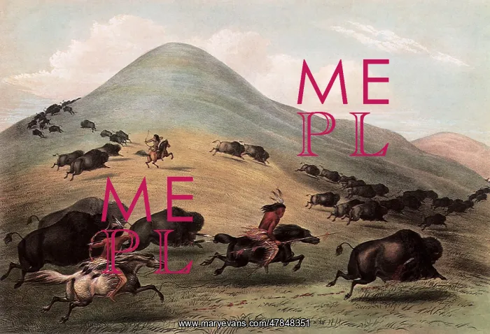 : Native Americans in Buffalo Hunt, by George Catlin : Native Americans in Buffalo Hunt, by George Catlin
