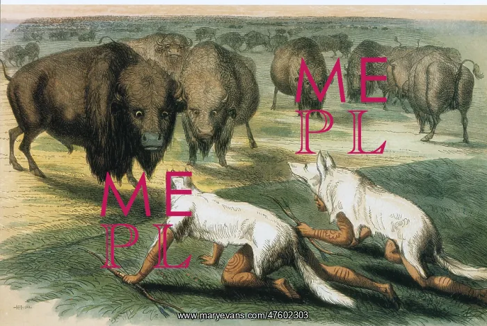 : Native Americans camouflaged for Buffalo Hunt, by Catlin : Native Americans camouflaged for Buffalo Hunt, by Catlin