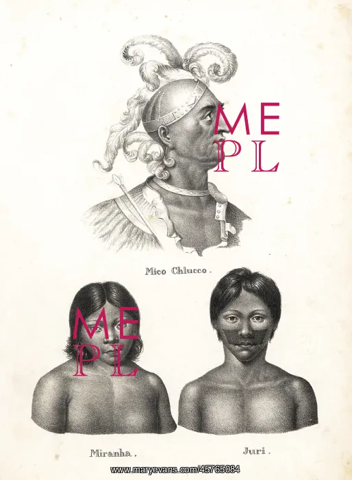 : Native Americans of Florida and South America : Native Americans of Florida and South America