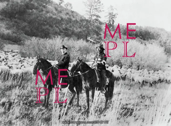 : Native Americans - livestock - New Mexico - Apache : Native Americans - livestock - New Mexico - Apache
