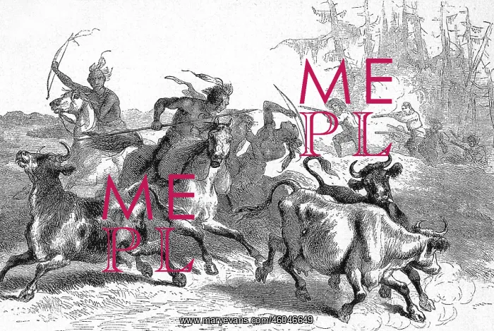 : Native Americans stealing cattle : Native Americans stealing cattle