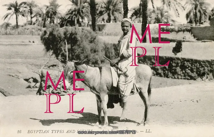  : Native boy riding a donkey in Egypt