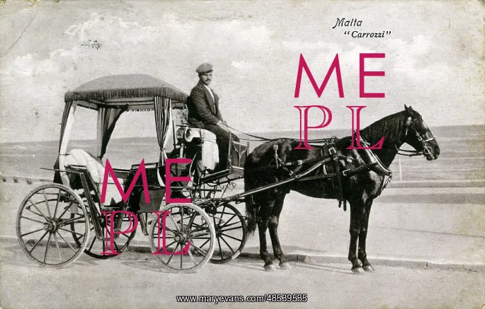 : Native Horse & Carriage : Native Horse & Carriage
