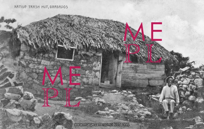  : Native Hut - Barbados