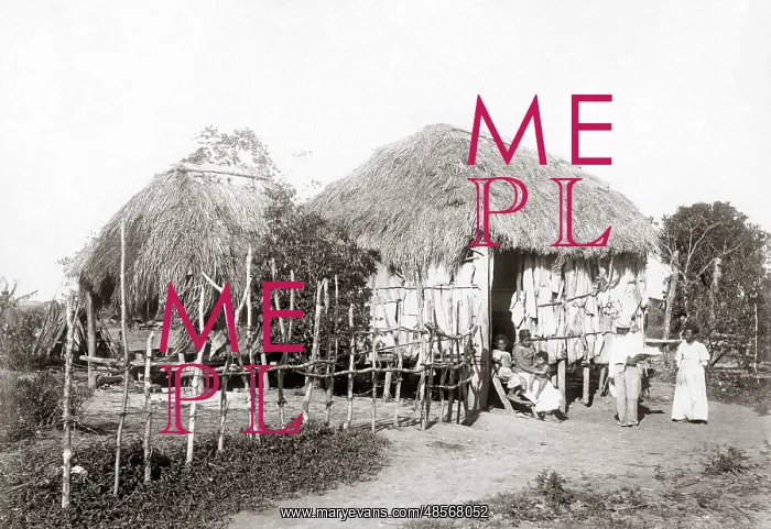  : Native huts, Puerto Rico, circa 1900