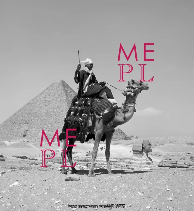  : Native man arab riding camel near the great pyramid