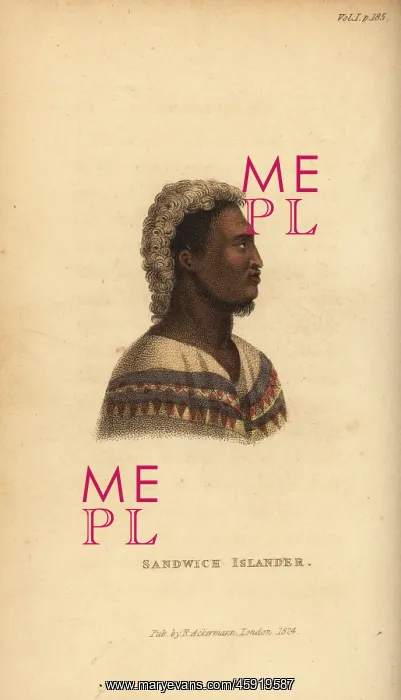 : Native man of Hawaii (Sandwich Islander) : Native man of Hawaii (Sandwich Islander)