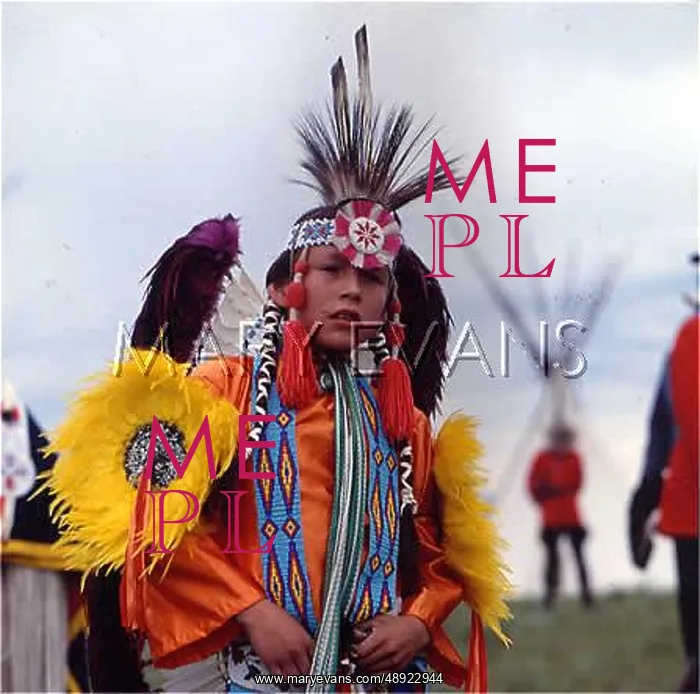: NATIVE SARCEE DANCER : NATIVE SARCEE DANCER