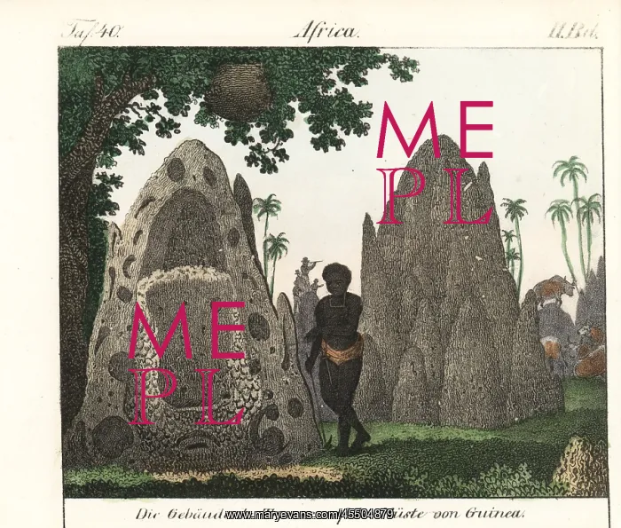 : Native standing next to termite hills on the : Native standing next to termite hills on the