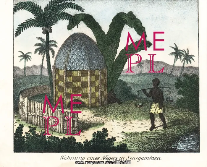 : Native thatched hut under palm trees in Senegambia : Native thatched hut under palm trees in Senegambia