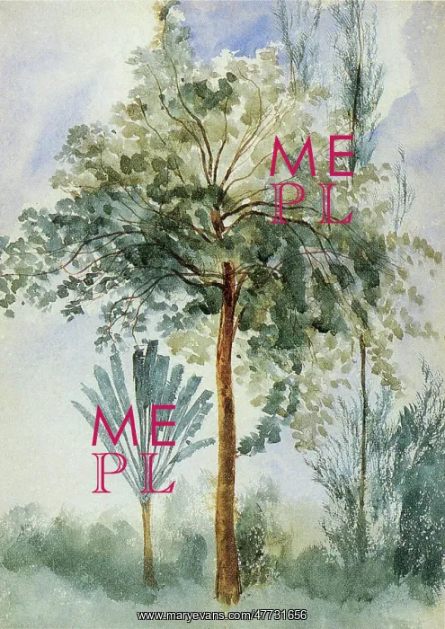 : Native Trees and a Coconut Palm