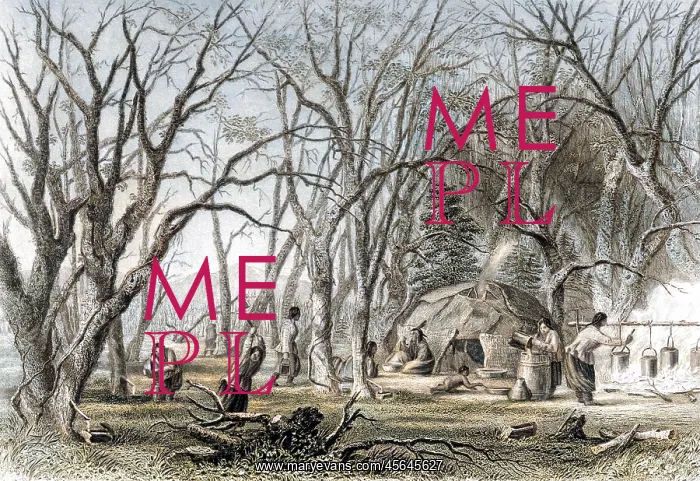  : NATIVE U.S. SUGAR CAMP