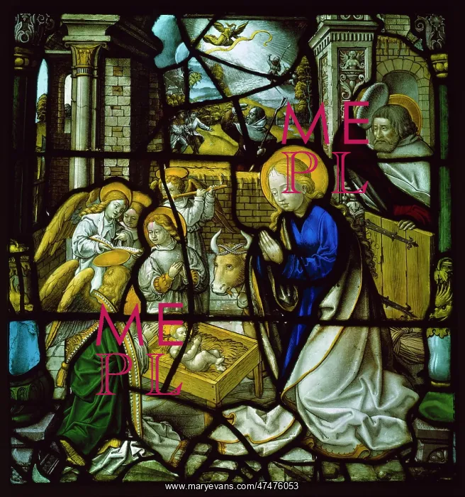 : The Nativity : The Nativity