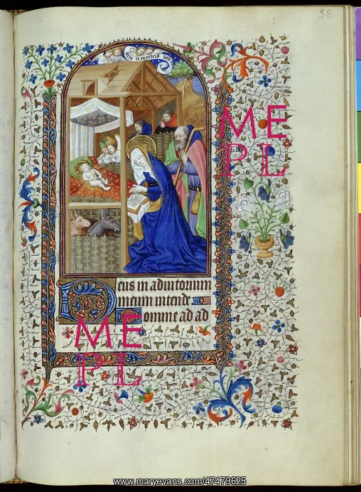 : Nativity with Mary Joseph and animals : Nativity with Mary Joseph and animals