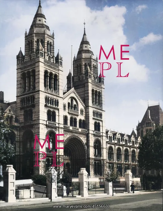 : NATURAL HISTORY MUSEUM : NATURAL HISTORY MUSEUM