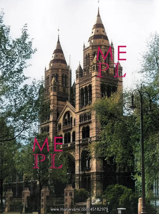 : NATURAL HISTORY MUSEUM : NATURAL HISTORY MUSEUM