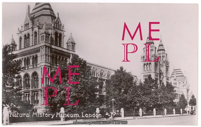 : NATURAL HISTORY MUSEUM : NATURAL HISTORY MUSEUM