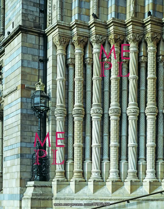 : The Natural History Museum : The Natural History Museum