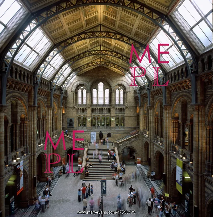 : The Natural History Museum : The Natural History Museum