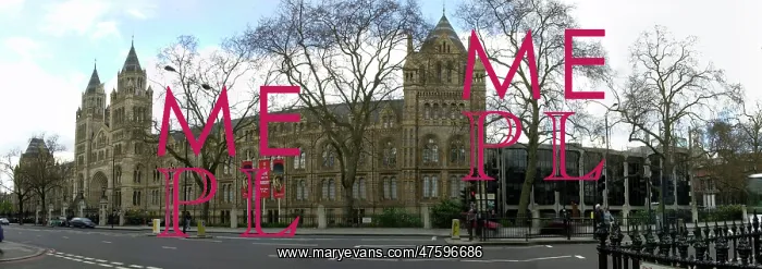 : The Natural History Museum : The Natural History Museum