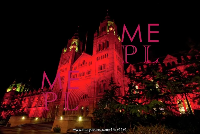 : The Natural History Museum illuminated at night, October 201 : The Natural History Museum illuminated at night, October 201