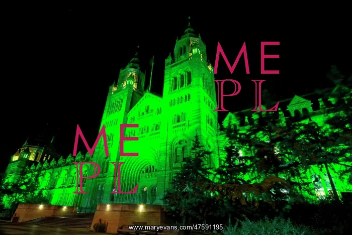 : The Natural History Museum illuminated at night, October 201 : The Natural History Museum illuminated at night, October 201