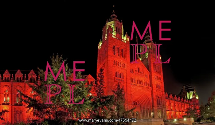 : The Natural History Museum illuminated at night, October 201 : The Natural History Museum illuminated at night, October 201