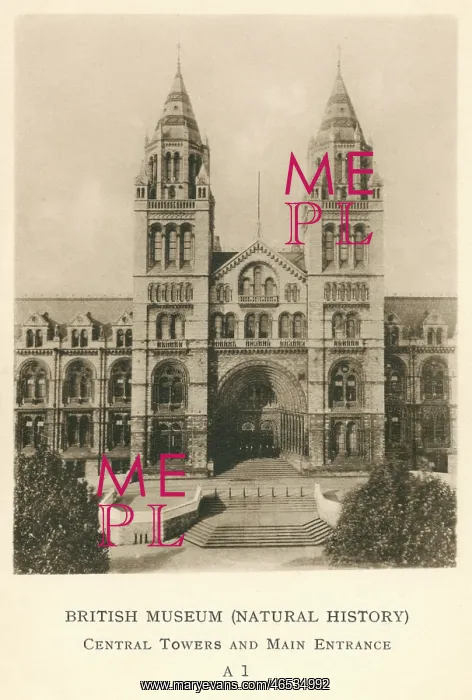 : Natural History Museum, London : Natural History Museum, London