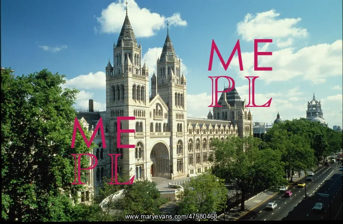 : The Natural History Museum, London : The Natural History Museum, London