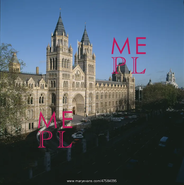 : The Natural History Museum, London : The Natural History Museum, London