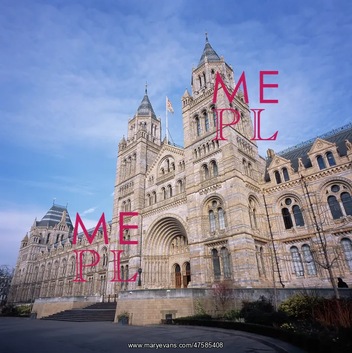 : Natural History Museum, London : Natural History Museum, London