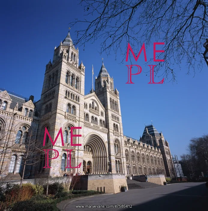: Natural History Museum, London : Natural History Museum, London