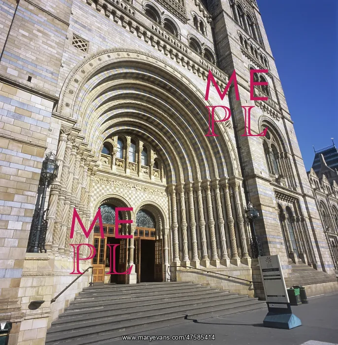 : Natural History Museum, London : Natural History Museum, London