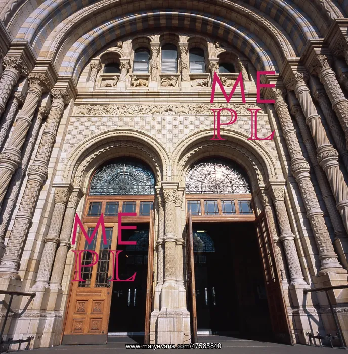 : Natural History Museum, London : Natural History Museum, London