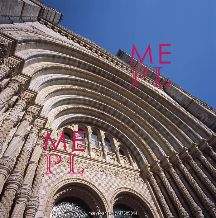 : Natural History Museum, London : Natural History Museum, London