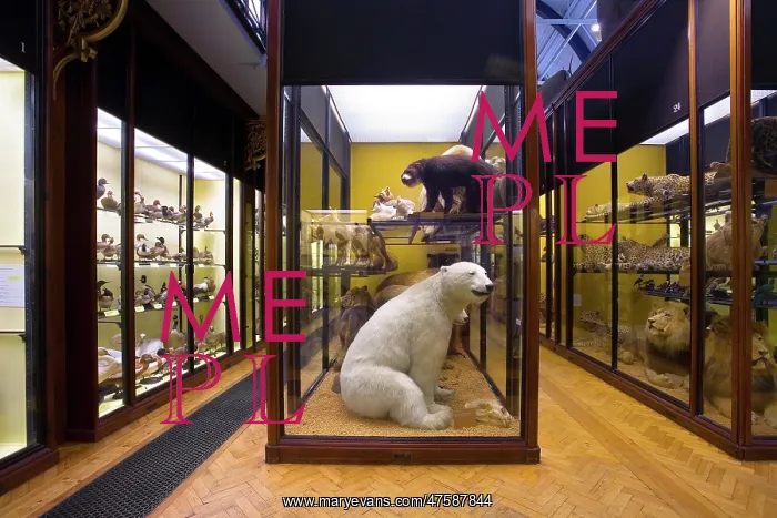 : The Natural History Museum at Tring : The Natural History Museum at Tring